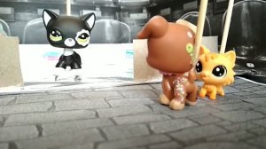 LPS сериал: Фигурное катание. 1 серия