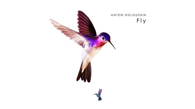 Anton Dolgushin - Fly