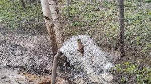 Артезианская скважина 87 метров