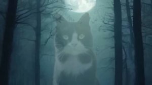 Даша,  домовой и Ко...   46 серия (автор Наталья Меркулова) Мистика. Приключения.