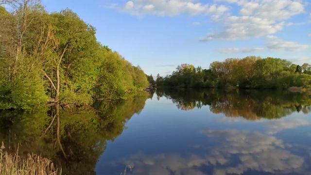 Водоем в деревне Грудиновка (Быховский район). Часть 1. смотреть онлайн