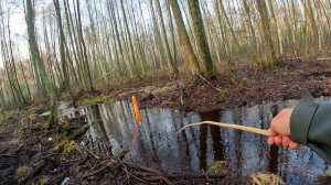Рыбалка КАК В ДЕТСВЕ! ВЫРЕЗАЛ ДЕДОВСКУЮ СНАСТЬ и на ЛЕСНОЙ РУЧЕЙ на поплавок 2025