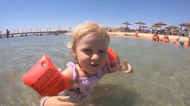 Гостиница Albatros White Beach Resort Египет 22.08.2020года, во время карантина (пляж 2) смотреть онлайн