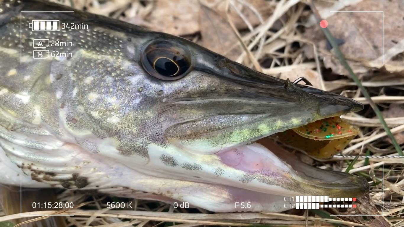 Весенняя рыбалка в сумерках. Со спиннингом на карьере смотреть онлайн