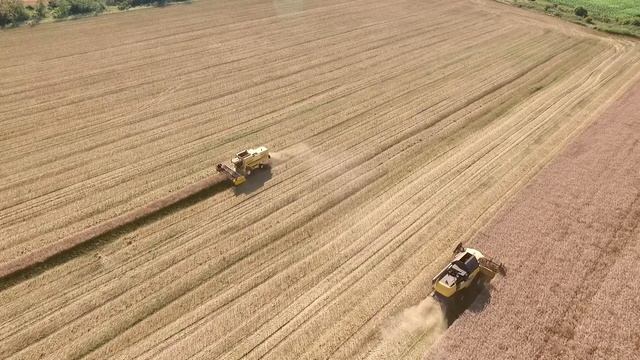 Уникална двойна застраховка от Синджента смотреть онлайн