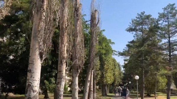 Армянск. Крым.