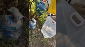 Отдых с Палаткой с детьми Воронеж Ступино