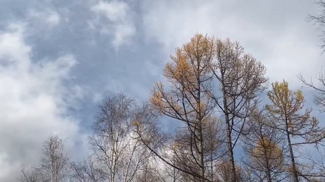 Подкова. К смотровой площадке. смотреть онлайн