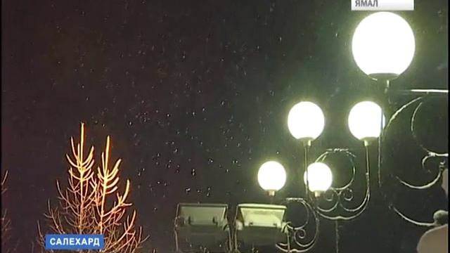 Вместо благодарности, жительница Салехарда оскорбила полицейских утром 1 января смотреть онлайн