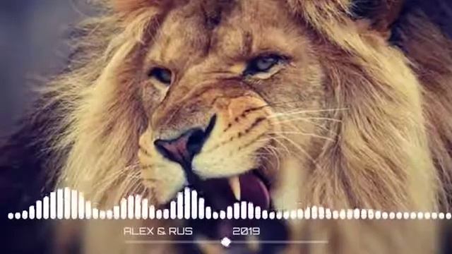 SIMAISSA RISSA SONG смотреть онлайн