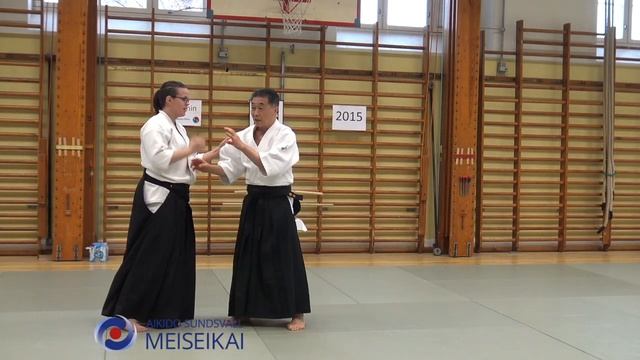 3 Aikido Katadorimenuchi Ikkyo Ura Uchite, Shishiya Sensei Malmö 2015