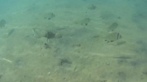 Отель Marlin Inn AZUR Resort. Хургада, Египет.