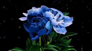 Футаж✨ Голубые Цветы Мечты  Background Blue Flowers