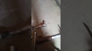 замена шаровой опоры. Шкода Октавия А4 (тур)