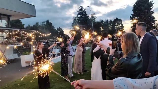 VLOG #15 | Свадьба | Эко-отель | Pet friendly кафе смотреть онлайн