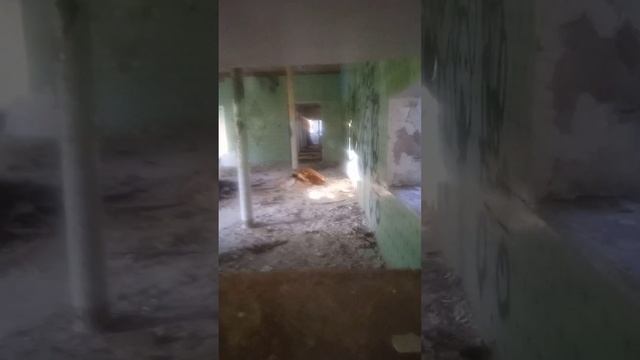 Заброшенный дом отдыха в Кировской области 😮🧸😢 смотреть онлайн