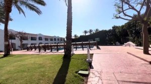 Египет-Шарм Эль Шейх, Jaz Sharm Dreams мой райский отдых 🌴