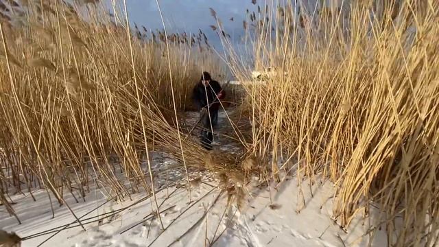 ПОДГОТОВКА Рыболовных МЕСТ/ВЫКОСИЛИ Места на ВОДОЕМЕ смотреть онлайн