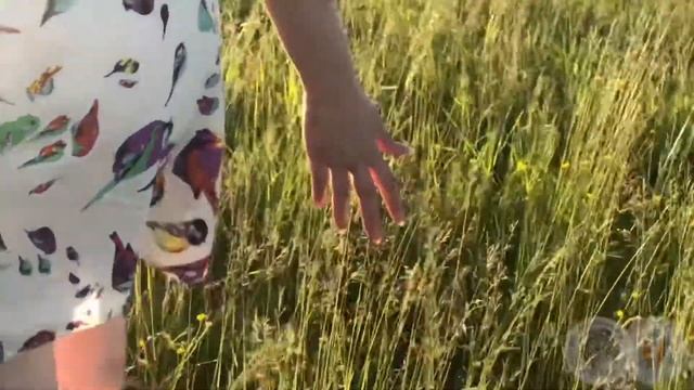 Почувствуй Свой Смоленск смотреть онлайн
