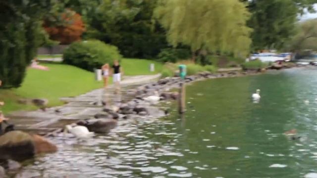 Zürich Швейцария Цюрих 2014 смотреть онлайн