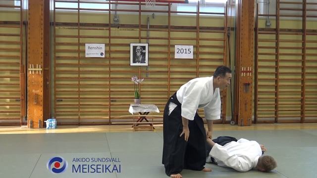 9 Aikido Katadorimenuchi Uchite Sankyo, Shishiya Sensei Malmö 2015