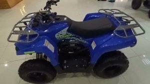 Краткий обзор квадроцикла Микилон хаммер 200