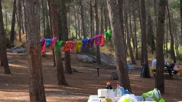 Лес, ёжик и шашлык/Я живу в Израиле/ смотреть онлайн