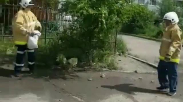 спасатели убирают осиное гнездо смотреть онлайн