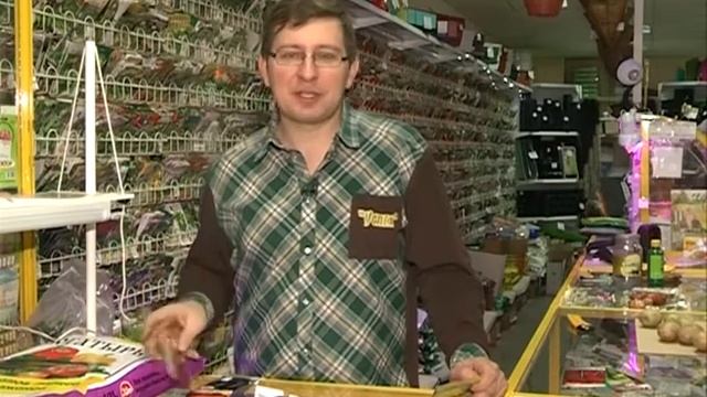 Сажаем вкусные томаты смотреть онлайн