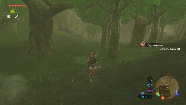 The Legend of Zelda: Breath of the Wild #009 (Деревня Какарико) | Полное 100% Прохождение смотреть онлайн