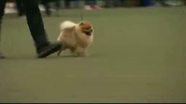 Иматра 19 04 14 смотреть онлайн