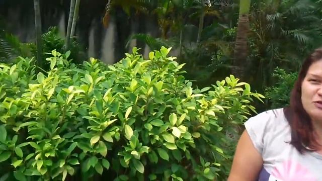 Виза ран в Малайзию. Как это было! смотреть онлайн