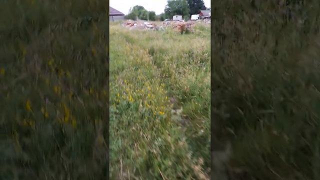 Дигора часть 4