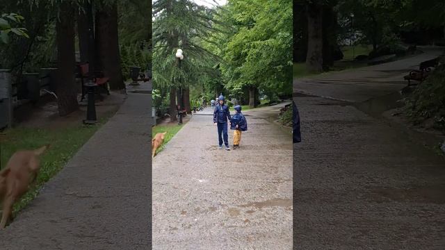 Боржоми смотреть онлайн