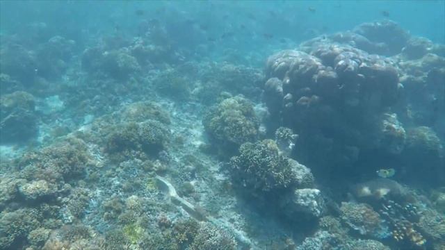 Bali (part 5) / Бали (часть 5) - Snorkling, Gili AIr, Gili Trawangan / Снуркелинг, Острова Джили смотреть онлайн