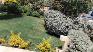 Территория отеля Cataract Resort, Шарм-эль-шейх