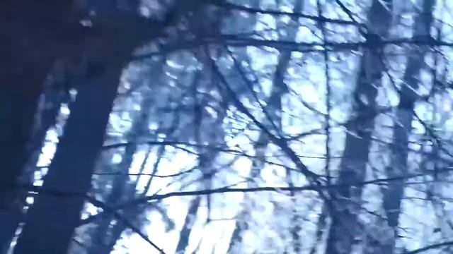 ЗАСТРЕЛИЛИ і ЗАКОПАЛИ. Спалил убийц в лесу смотреть онлайн