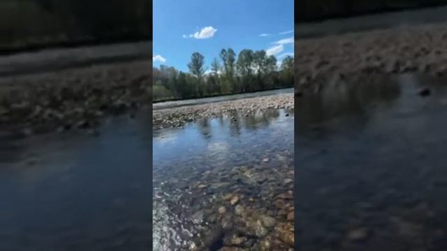 Чарышское смотреть онлайн