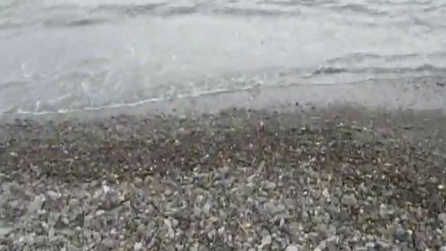 Нежный мир природы