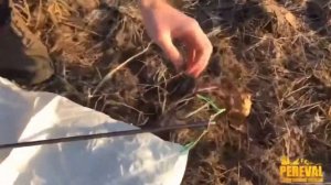 Обзор палатки Tramp Cloud 2 Si