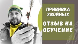 🌲ПРИВИВКА ХВОЙНЫХ Обзор/Отзыв на обучение у Александра Русинова|Стоит ли обучаться прививке онлайн?