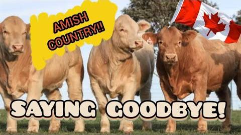 Канадская семья в НН.. Tour through Amish Countryside/ Inglis Falls смотреть онлайн