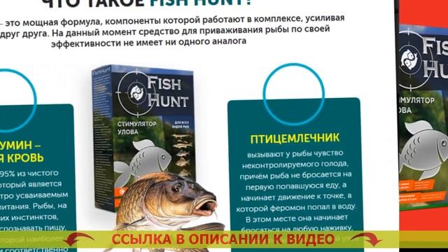 Купить приманки для рыбалки ⚡ Fish hunt официальный сайт смотреть онлайн