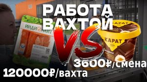 Устроились на две РАБОТЫ ВАХТОЙ! - ГДЕ ЛУЧШЕ? На сырах «Карат» или индейка «Индилайт»