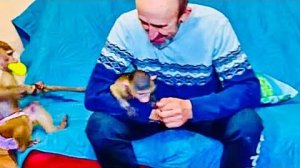 РЕВНОСТЬ Люськи не знает границ, она просто ЗА ХВОСТ оттаскивает Степашку от пап