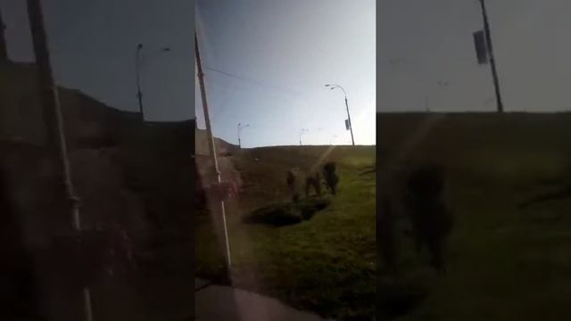 Поездка в Киев смотреть онлайн