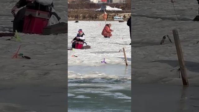 Активное начало недели.Рыбка шустрая.Всем НХНЧ! РК «Чайка». смотреть онлайн