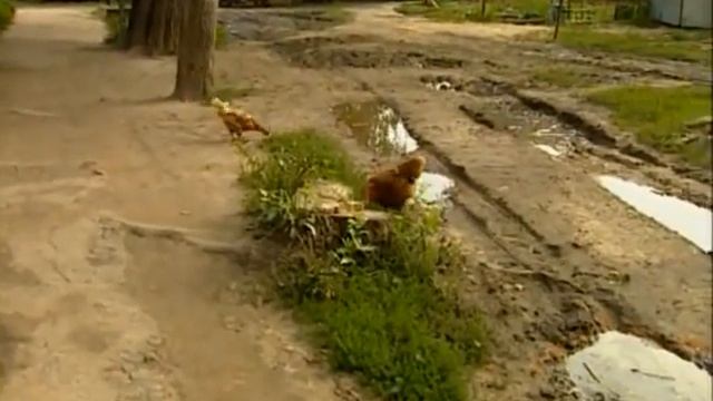 Дивеево Четвертый удел Богородицы 2001 смотреть онлайн