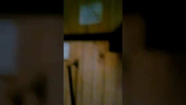 Мой конный спорт смотреть онлайн