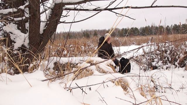 Одиночный поход в лес по первому снегу. A single hike in the forest on the first snow. смотреть онлайн